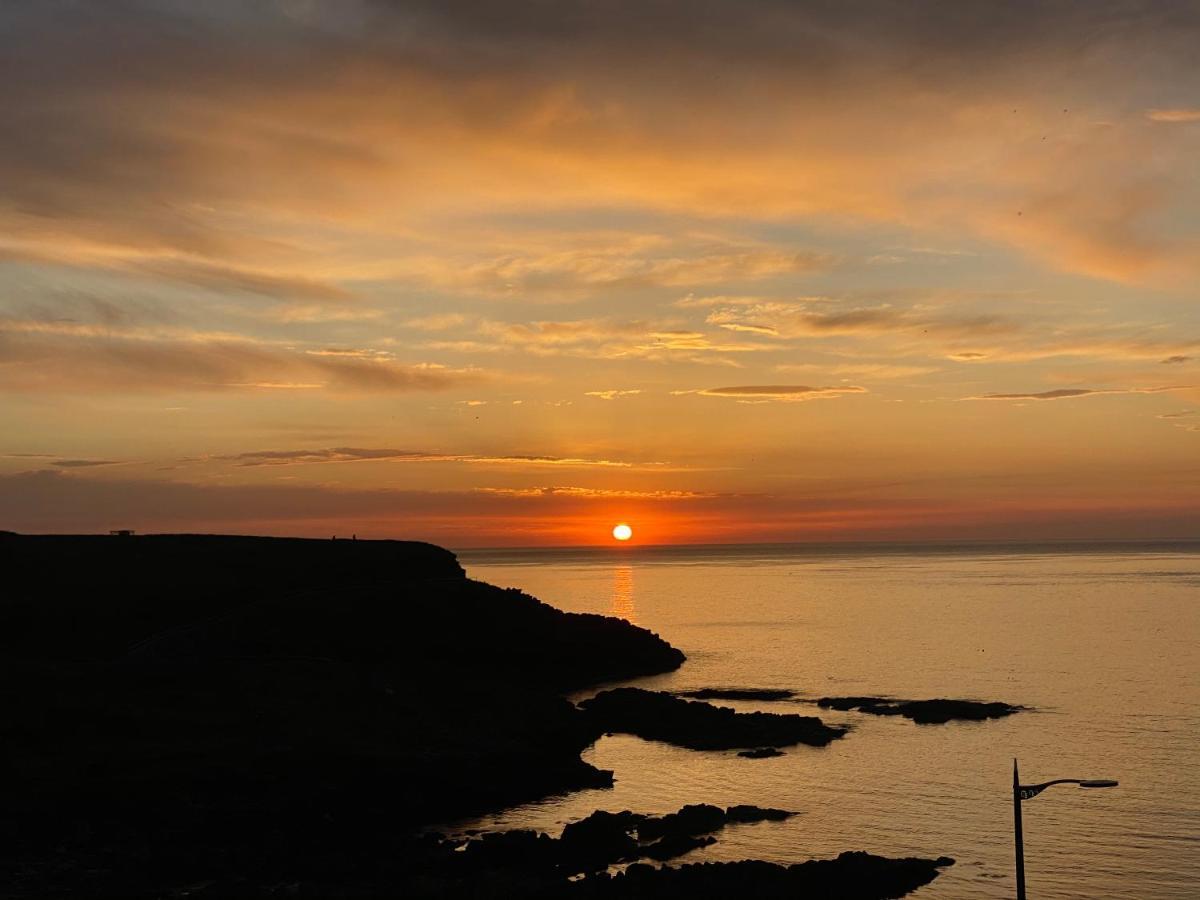 The North Cove, 20M To The Sea, Modern Studio Apartment Portrush Eksteriør bilde